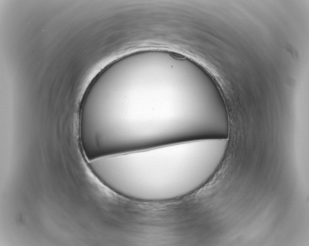 X0000111591527200907161143
