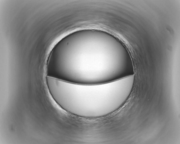 X0000111591528200907161143
