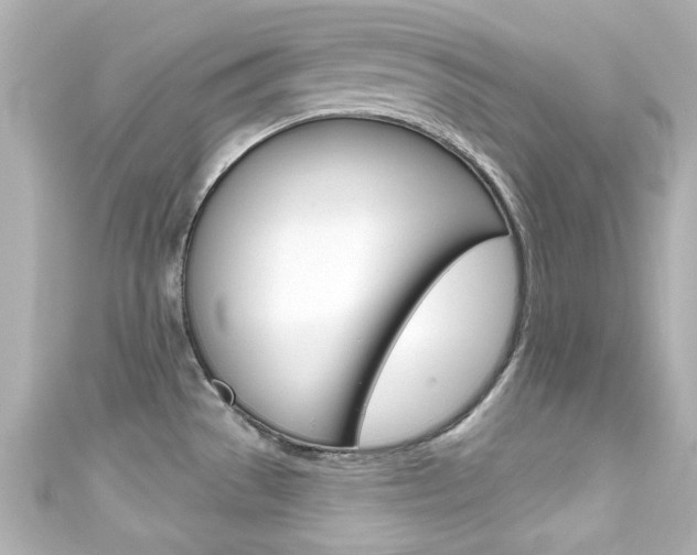X0000111591529200907161143