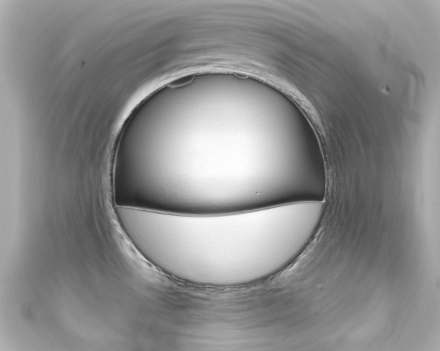 X0000111591530200907161143