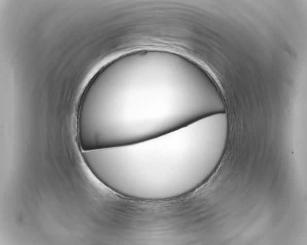 X0000111591531200907161143