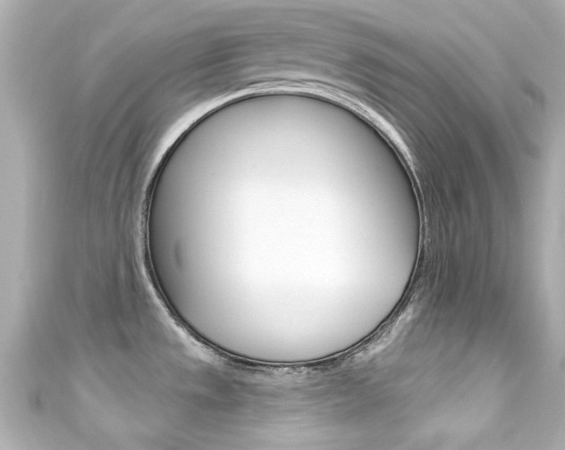 X0000111591533200907161143