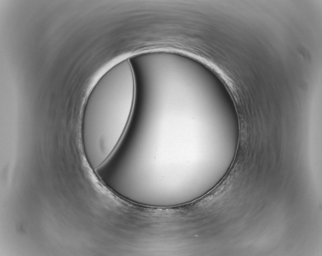 X0000111591534200907161143