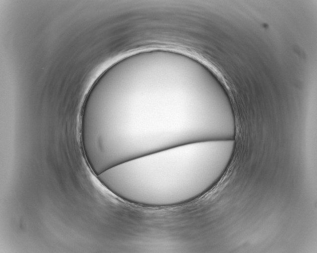 X0000111591535200907161143