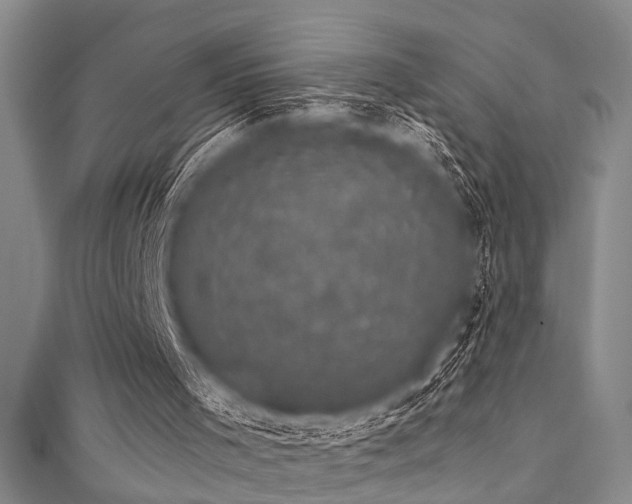 X0000111590001200907161503