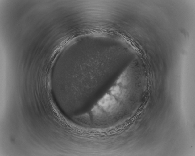 X0000111590002200907161503