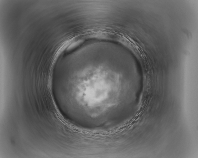 X0000111590003200907161503