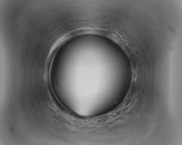 X0000111590004200907161503