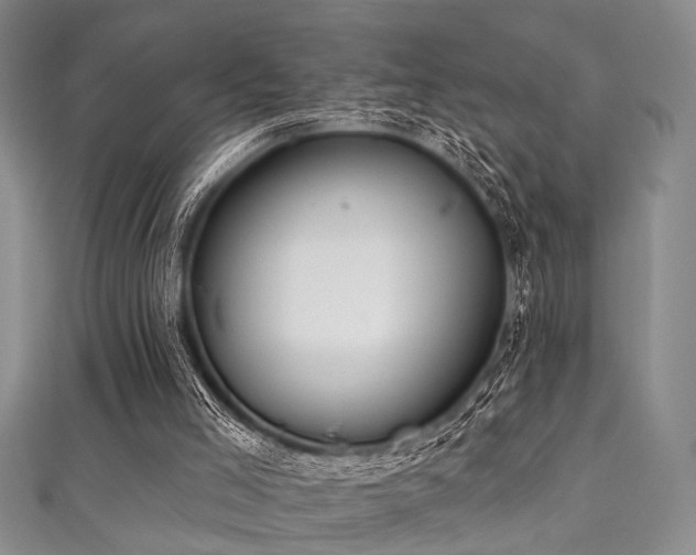 X0000111590005200907161503