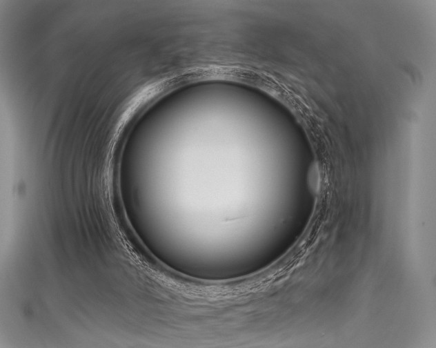 X0000111590006200907161503