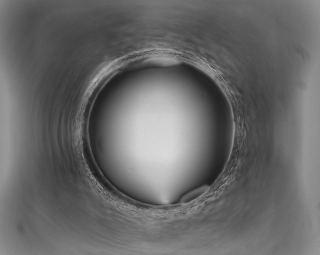 X0000111590007200907161503