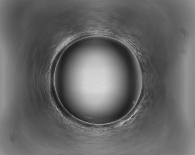 X0000111590008200907161503