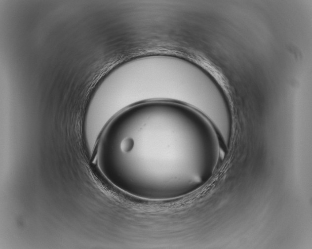 X0000111590009200907161503