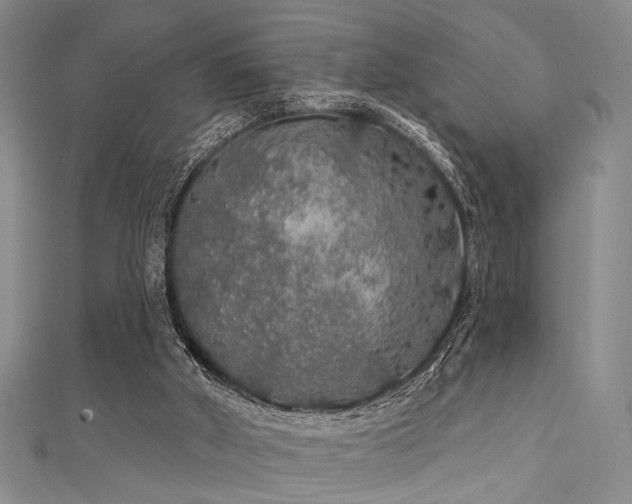 X0000111590010200907161503