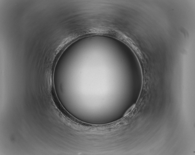 X0000111590011200907161503