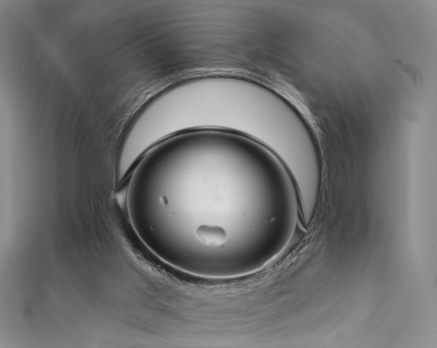 X0000111590013200907161503