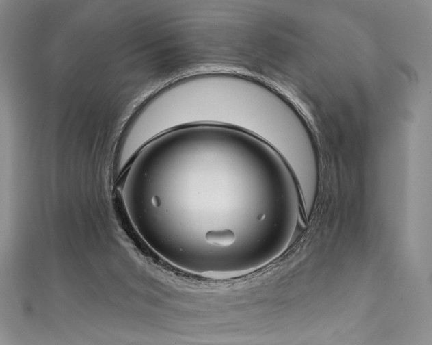 X0000111590015200907161503