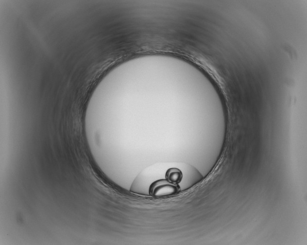 X0000111590017200907161503