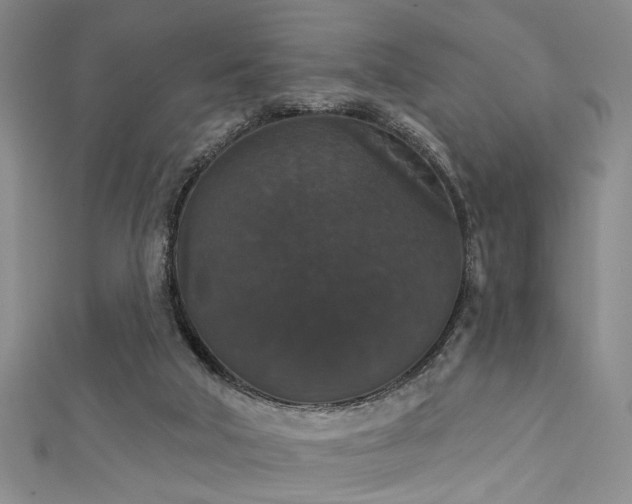 X0000111590018200907161503