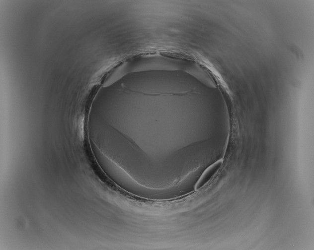 X0000111590019200907161503