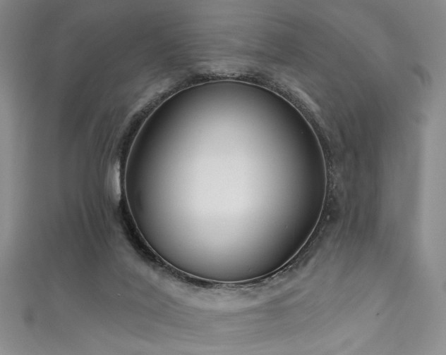 X0000111590020200907161503