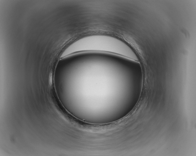 X0000111590021200907161503