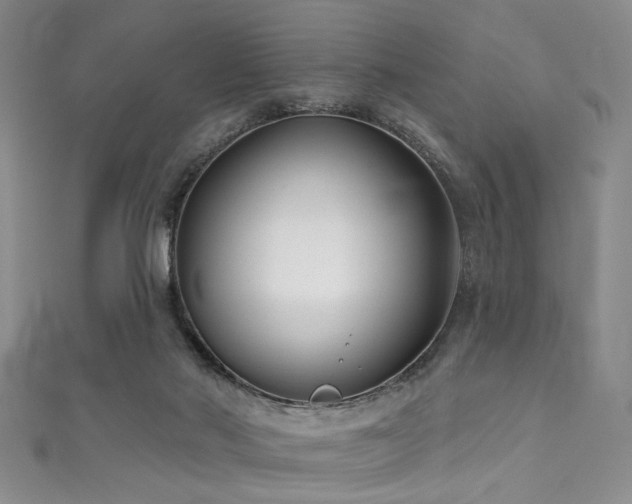 X0000111590022200907161503