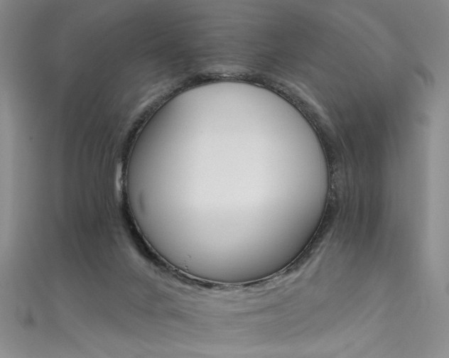 X0000111590024200907161503