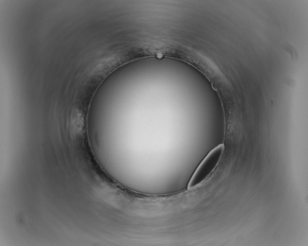 X0000111590025200907161503