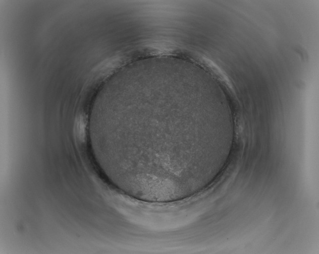 X0000111590026200907161503