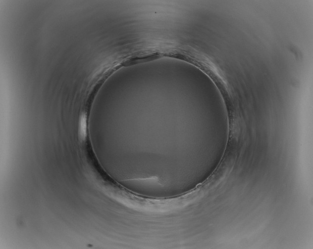 X0000111590027200907161503