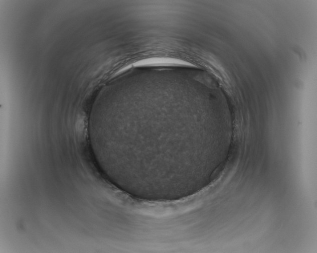 X0000111590029200907161503