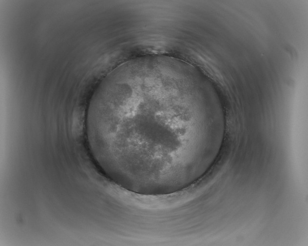 X0000111590030200907161503