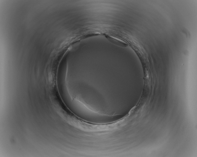 X0000111590031200907161503