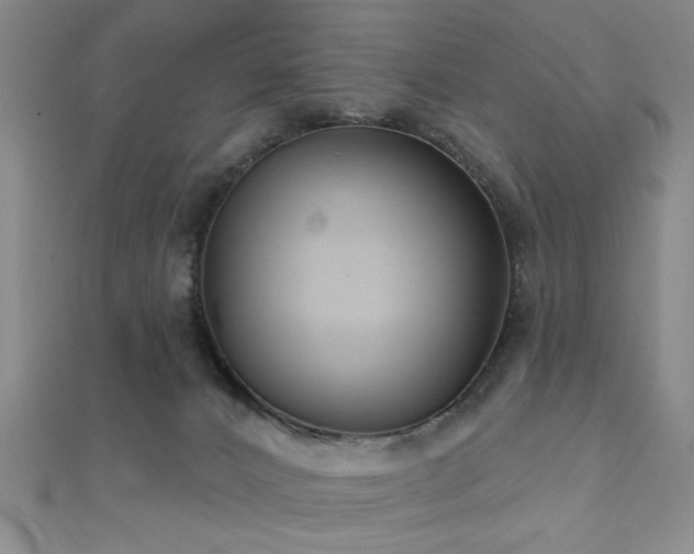 X0000111590032200907161503