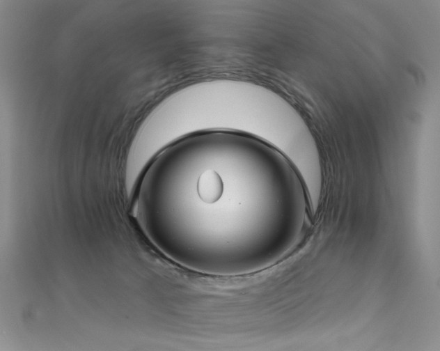 X0000111590033200907161503