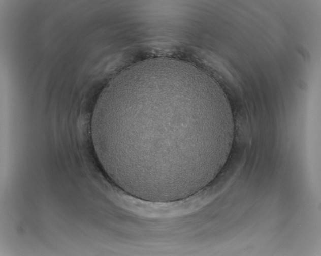 X0000111590034200907161503