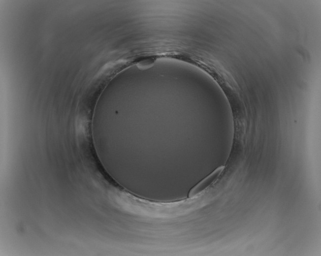 X0000111590035200907161503