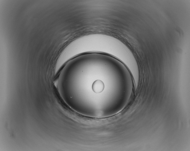 X0000111590036200907161503