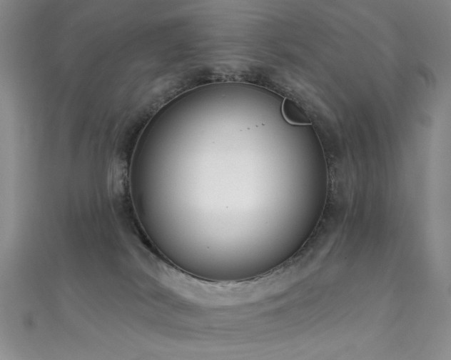 X0000111590038200907161503