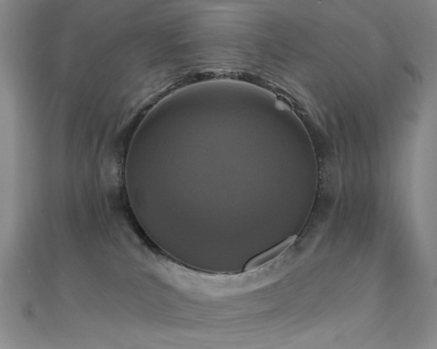 X0000111590039200907161503