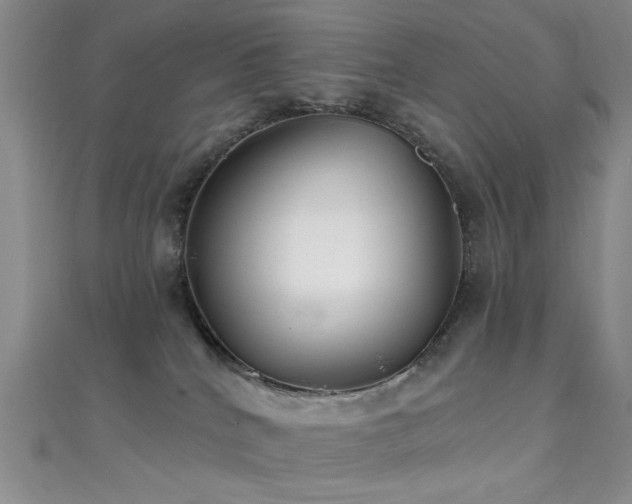 X0000111590040200907161503