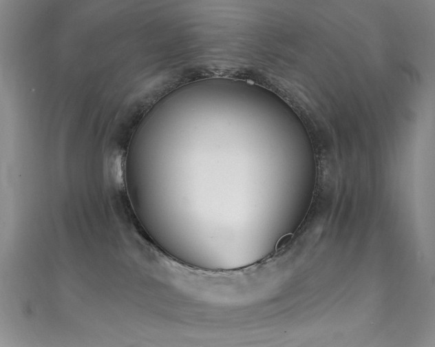 X0000111590042200907161502