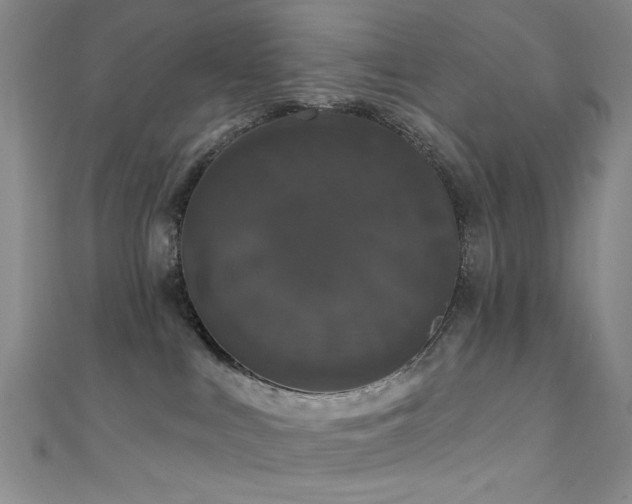 X0000111590043200907161502