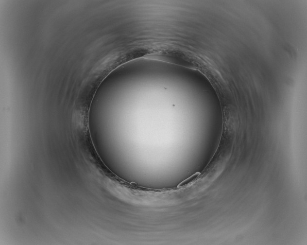 X0000111590044200907161502