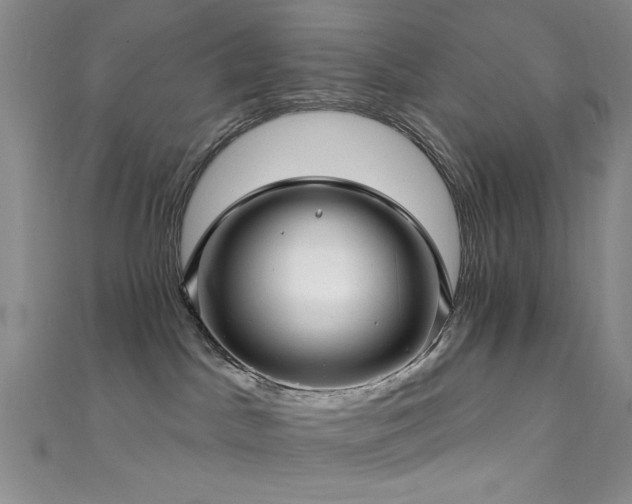 X0000111590045200907161502