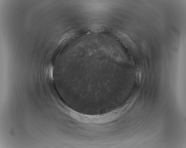 X0000111590046200907161502