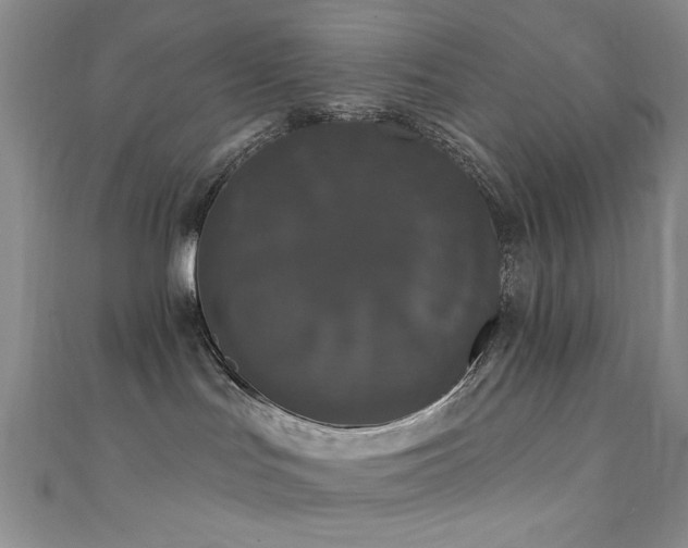 X0000111590047200907161502