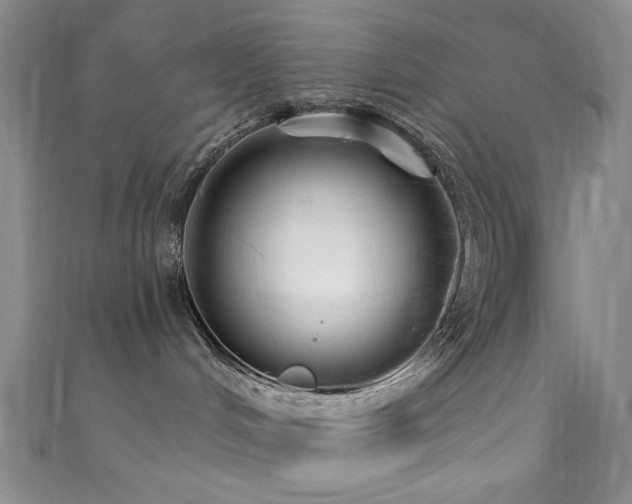 X0000111590048200907161502