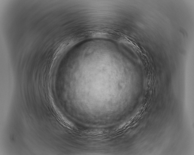 X0000111590049200907161502